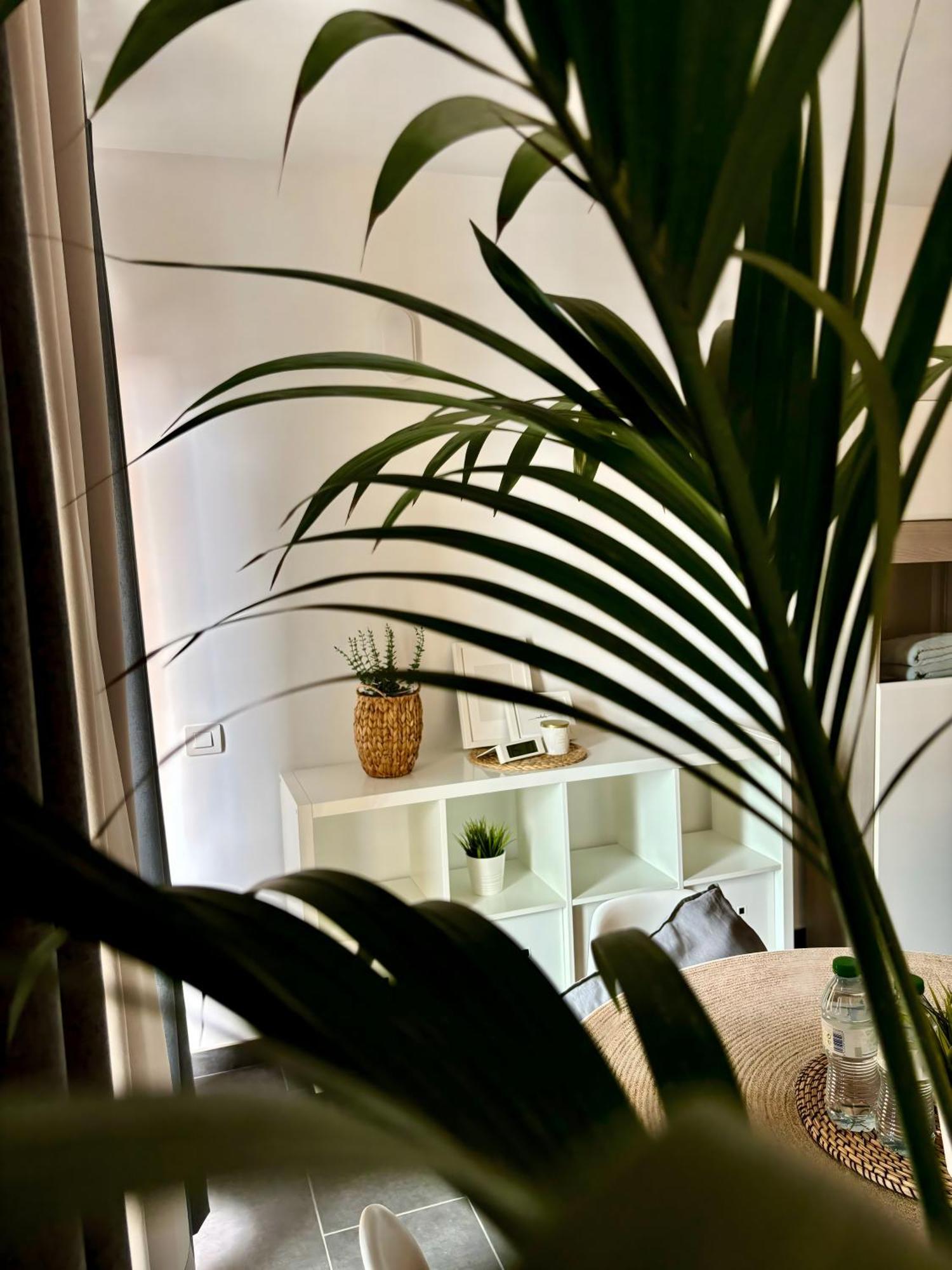Marina Suites Tenerife Puerto de la Cruz  Eksteriør bilde