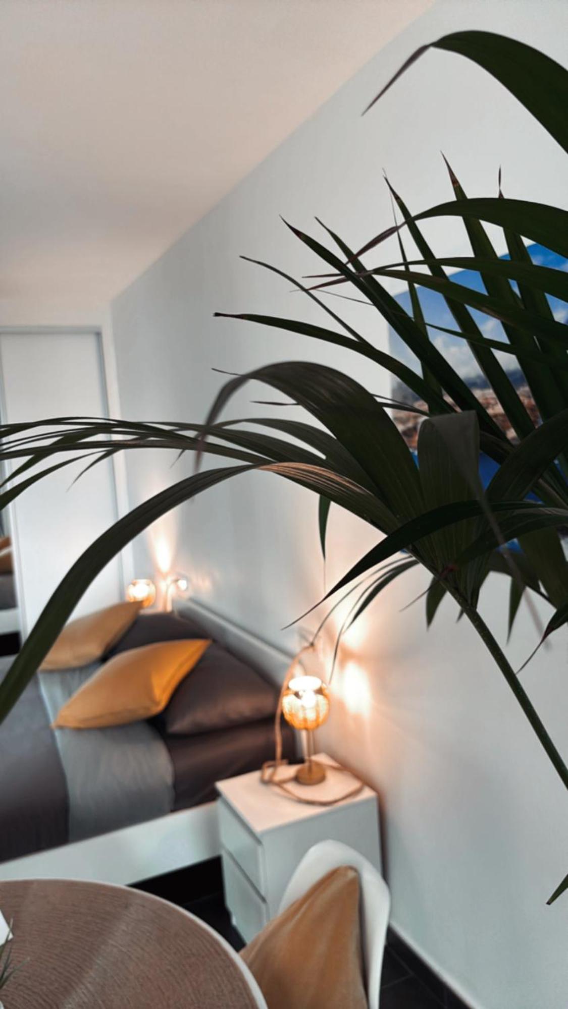 Marina Suites Tenerife Puerto de la Cruz  Eksteriør bilde